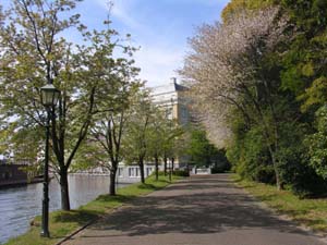 c0059521_21205697.jpg