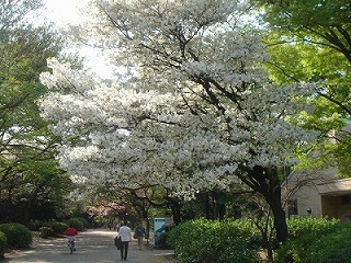 d0023323_2217992.jpg