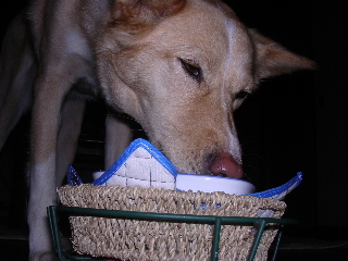 c0065643_19324414.jpg