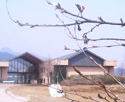 c0026558_11454887.jpg