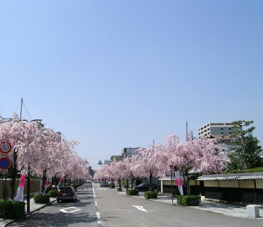 c0059581_2052890.jpg