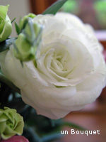 c0051385_041231.jpg