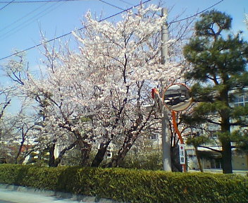 b0001888_11291248.jpg