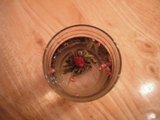 c0012189_20212871.jpg