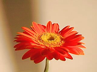 c0047602_23223914.jpg