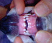 c0035931_0261436.jpg