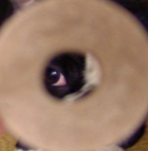 c0032567_22293394.jpg