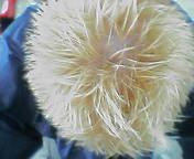 c0055781_939379.jpg