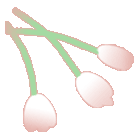 b0052317_11284339.gif