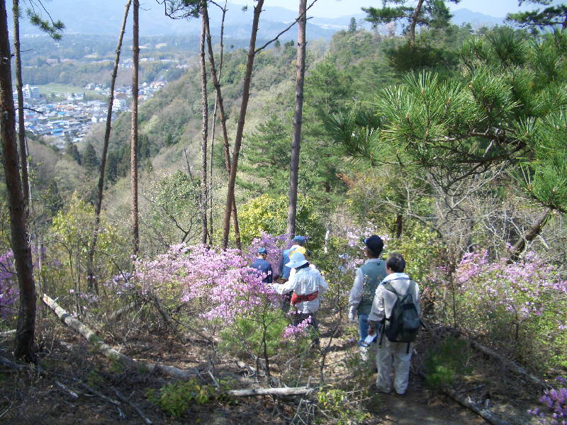 d0024426_8322589.jpg