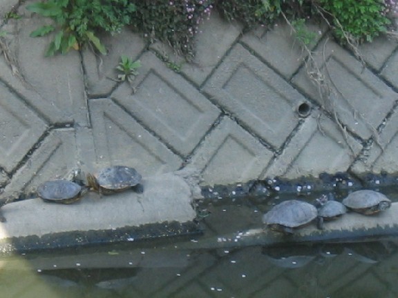c0003036_23143215.jpg