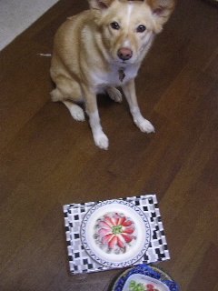 c0065643_20413167.jpg