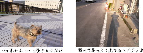 d0013645_11153371.jpg