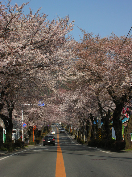 b0029350_0414174.jpg