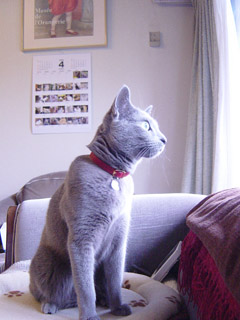 b0034284_12392332.jpg