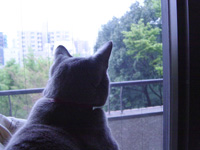 b0034284_12443672.jpg