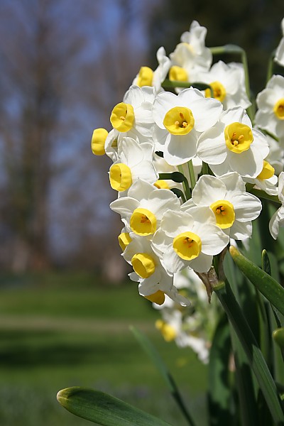 c0023993_7581247.jpg