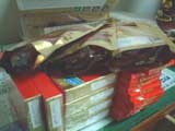 c0060603_23115381.jpg