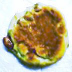 c0050522_19561819.jpg