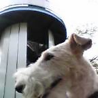 c0075429_21563249.jpg