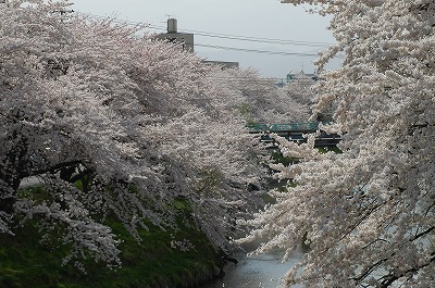 c0032257_23412219.jpg