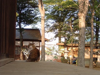 b0059860_20342217.jpg