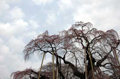 c0050264_22342056.jpg