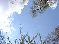 b0042468_340474.jpg