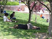 b0042468_3414131.jpg