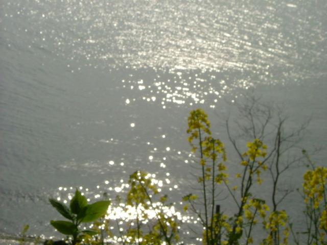 b0055171_20513013.jpg