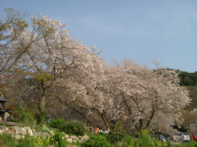b0055171_8594162.jpg