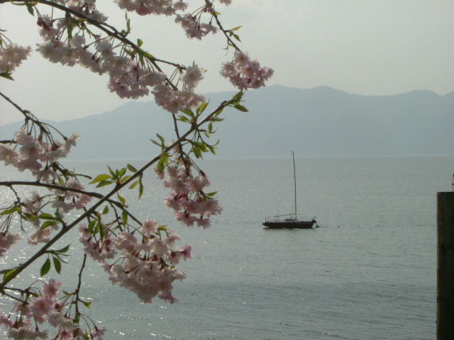 b0055171_913627.jpg
