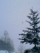 c0023076_5361510.jpg