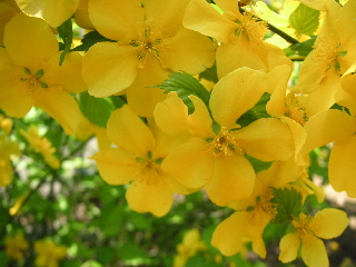 c0027181_283570.jpg