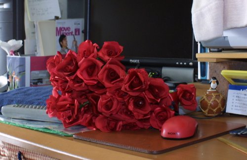 d0025191_1625848.jpg