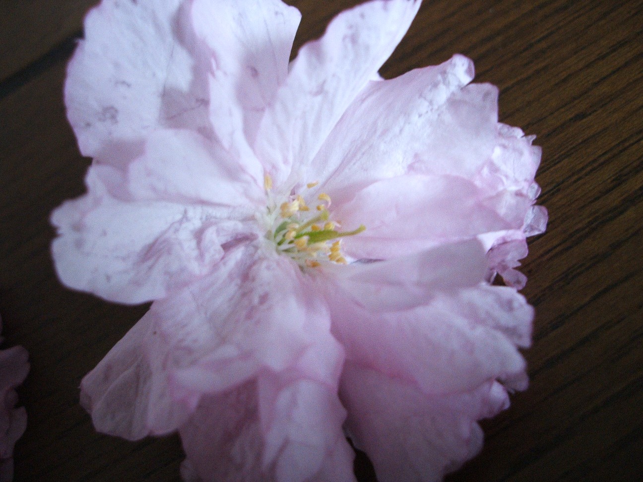 b0061010_1064470.jpg