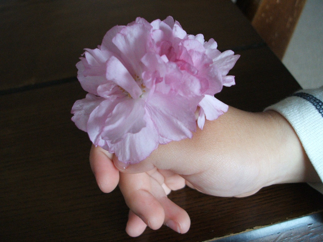 b0061010_106511.jpg