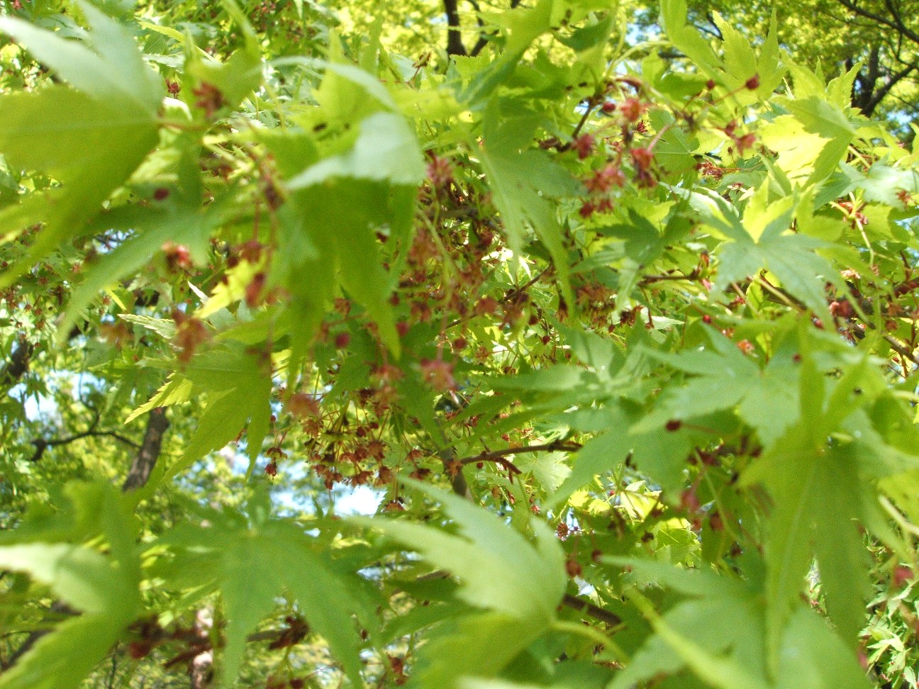 b0061010_20371580.jpg