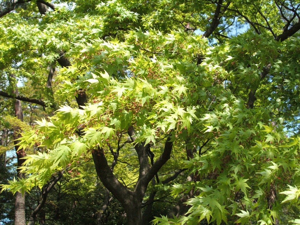 b0061010_21173141.jpg