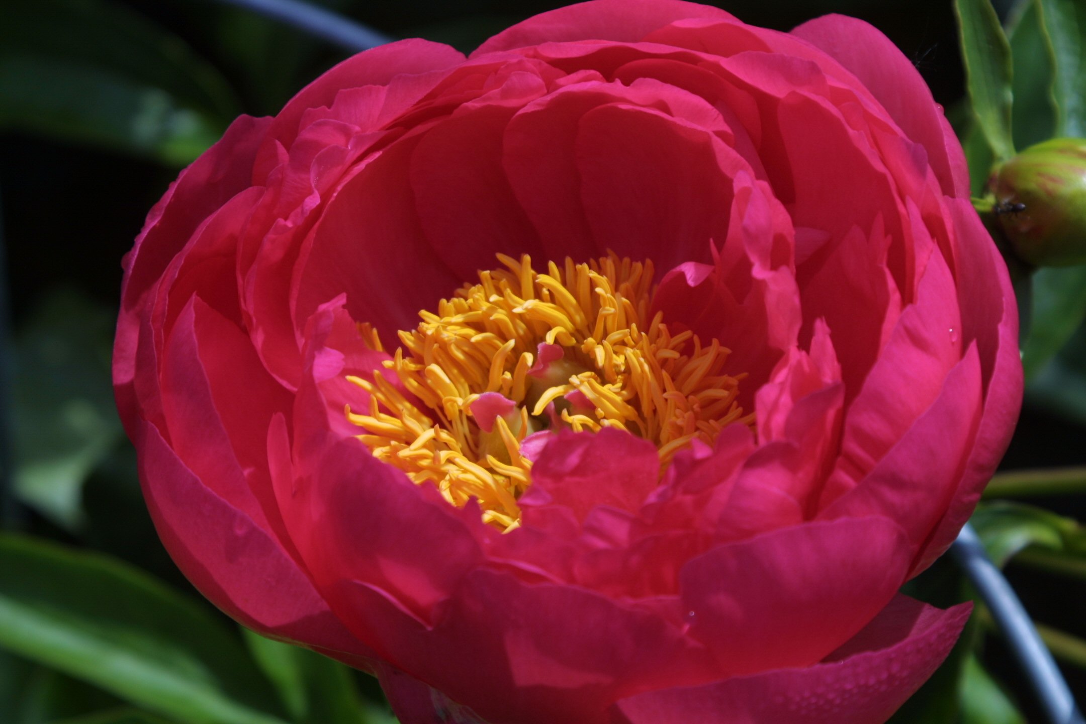 b0024439_1749544.jpg