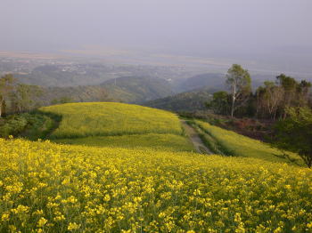 d0013645_1163911.jpg