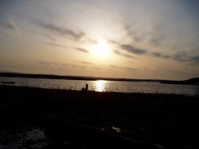d0018763_6505265.jpg