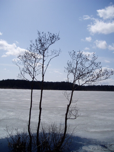 d0018763_6513892.jpg