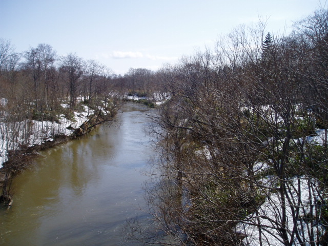 d0018763_652378.jpg