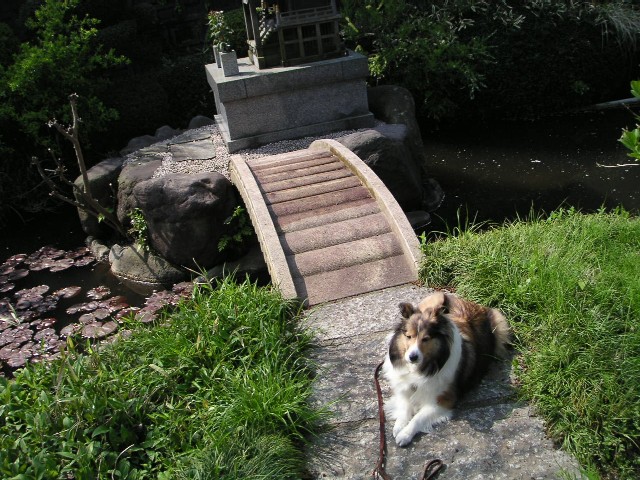 d0026064_18103371.jpg