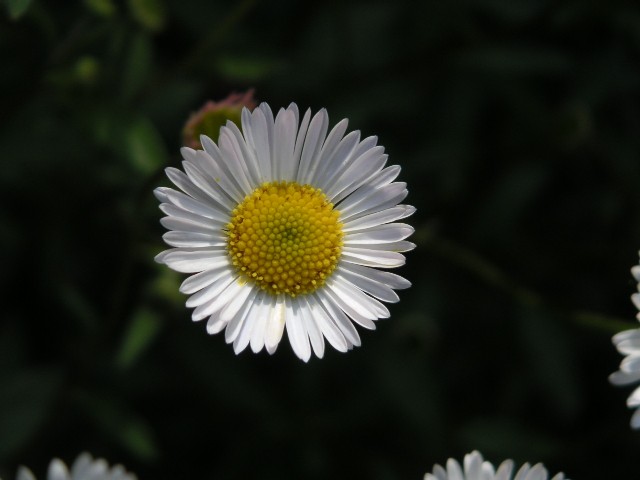 d0026064_18113758.jpg
