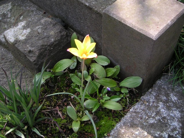 d0026064_18115827.jpg