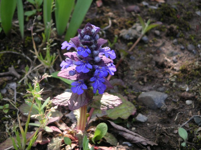 d0026064_18131122.jpg