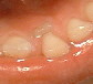 b0009665_12785.jpg