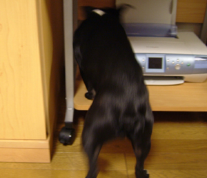 c0032567_22244153.jpg
